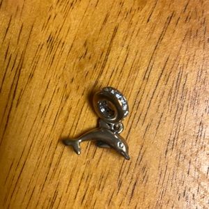Pandora charm